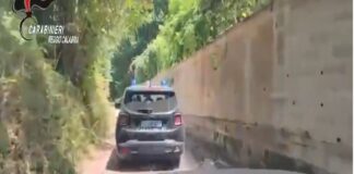 Nel corso di un servizio di controllo del territorio, effettuato nelle ore scorse i Carabinieri della Compagnia di Taurianova, con il supporto dei membri dello squadrone eliportato “Cacciatori di Calabria”, hanno scoperto una vasta piantagione di marijuana nascosta in una zona boschiva e impervia del comune aspromontano di Giffone: questa è la quinta piantagione individuata nel giro di pochi giorni