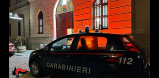 I Carabinieri della Stazione di Petrosino, a conclusione di una attività investigativa, hanno arrestato un 50enne marsalese – con precedenti di Polizia – per il reato di produzione di sostanze stupefacenti: i militari dell’Arma, al termine di servizi di osservazione, facevano irruzione in una serra ove avevano notato l’uomo che vi accedeva
