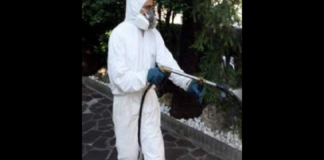 Messinaservizi Bene Comune comunica che le operazioni di deblattizzazione proseguono su tutto il territorio comunale