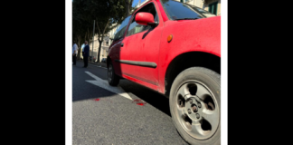 E’ deceduta all’Ospedale “Piemonte” di viale Europa a Messina…, l’anziana di 83 anni, Caterina Sciotto, che intorno alle 10.00 di oggi… mentre stava attraversando la strada (assieme a un parente rimasto illeso), è stata investita da un’auto, una Nissan Micra condotta da una 84enne che sopraggiungeva in direzione sud-nord… nei pressi dell’Isolato ‘R’ di via La Farina