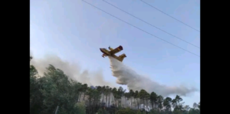 In data 28 luglio 2024, nelle campagne di Pettineo sì è propagato su più fronti Un vasto incendio… estesosi nella parte occidentale dei monti Nebrodi