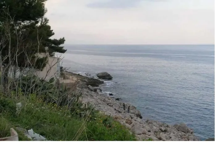 Stupro PA