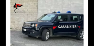 I carabinieri della Stazione di Gioia Tauro, nelle ore scorse hanno notato una colonna di fumo e si sono avvicinati ad un terreno agricolo dove hanno visto allontanarsi di fretta un uomo, mentre una donna è stata colta in flagranza dare fuoco ad un cumulo di rifiuti accatastato in un loro appezzamento e per questo sono stati denunciati per combustione illecita di rifiuti