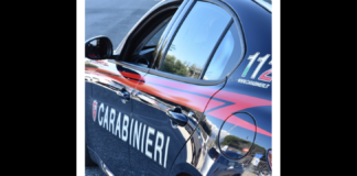 Gestiva un negozio di surgelati ma, nonostante i tanti congelatori, la sua bolletta della corrente elettrica era di pochi euro: a scoprire il furto di energia elettrica sono stati i carabinieri del Reparto territoriale di Corigliano Rossano diretti dal colonnello Marco Filippi, che hanno arrestato la titolare dell’esercizio commerciale