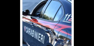 Gestiva un negozio di surgelati ma, nonostante i tanti congelatori, la sua bolletta della corrente elettrica era di pochi euro: a scoprire il furto di energia elettrica sono stati i carabinieri del Reparto territoriale di Corigliano Rossano diretti dal colonnello Marco Filippi, che hanno arrestato la titolare dell’esercizio commerciale