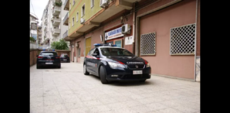 I carabinieri del Nucleo operativo e radiomobile della Compagnia, coadiuvati da personale di altre stazioni e da militari dello Squadrone Eliportato Cacciatori di Calabria, a seguito di un’attività iniziata da nottata precedente, hanno individuato e sequestrato oltre 100 piante di canapa indiana coltivate illecitamente e tre fucili perfettamente funzionanti assieme ad un quantitativo consistente di munizioni in località Cerasara di Petilia Policastro, nel crotonese