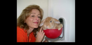 Addio a Marinella Colombo, la mamma milanese diventata punto di riferimento per tutti i genitori che lottano per riavere i figli ingiustamente sottratti dalla burocrazia giudiziaria: la donna è morta nel pomeriggio di ieri in un ospedale milanese, stroncata da un male scoperto da poche settimane che ha avuto un’evoluzione rapidissima… nessuno potrà mai accertare quanto abbiano inciso sul suo fisico minuto quei lunghi anni di sofferenza, di ansia e di rabbia trascorsi in battaglie giudiziarie nel tentativo di recuperare i figli Leonardo e Nicolò, prelevati a scuola dai carabinieri e portati di forza in Germania