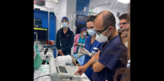 Cresce e si consolida sempre di più l’offerta assistenziale dedicata ai bimbi affetti da patologie cardiache: nei giorni scorsi, presso il policlinico universitario Gaetano Martino di Messina è stato possibile effettuare procedure dedicate per lo studio elettrofisiologico trans-esofageo (SATE) del cuore
