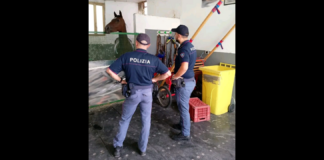 Task force degli agenti della Polizia di Stato, nel quartiere San Cristoforo di Catania… attuata nelle ore scorse… per contrastare le corse clandestine: scoperte 6 stalle abusive, 6 cavalli sottoposti a fermo amministrativo e sequestrati farmaci dopanti