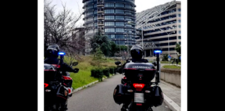 I Carabinieri della Stazione di Reggio Calabria Principale…, nel contesto di una loro operazione attuata nelle ore scorse hanno denunciato 18 individui, di età compresa tra i 20 e i 60 anni, accusati di truffa, uso di atti falsi e sostituzione di persona: insieme costituivano una rete di soggetti truffaldini i cui membri erano pronti a prendere di mira i cittadini più indifesi