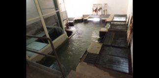 Momentanea riduzione dell’erogazione idrica: in seguito a un improvviso problema tecnico a una pompa sotterranea della centrale Bufardo-Torrerossa, che assicura l’approvvigionamento idrico cittadino dall’acquedotto Fiumefreddo, il flusso di acqua verso i serbatoi principali è stato temporaneamente ridotto