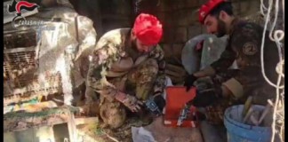 Nelle scorse ore, dopo un’attenta attività di perlustrazione e monitoraggio, in sinergia tra la Stazione Carabinieri di Saline di Montebello Jonico e lo Squadrone Eliportato Cacciatori di Calabria – i militari hanno scoperto un imponente arsenale e una rilevante quantità di cocaina pronta per essere immessa nelle piazze di spaccio