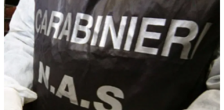 Con l’inizio del nuovo anno scolastico, il Comando Carabinieri per la Tutela della Salute ‒ d’intesa con il Ministero della Salute ‒ ha avviato una campagna di controlli a livello nazionale volta alla verifica del rispetto dei requisiti previsti dalla normativa di riferimento nel settore della ristorazione all’interno degli istituti scolastici