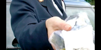 Non si fermano mai le attività di contrasto al traffico di droga da parte della Polizia di Stato, impegnata incessantemente sul territorio per la tutela della sicurezza e della salute pubblica