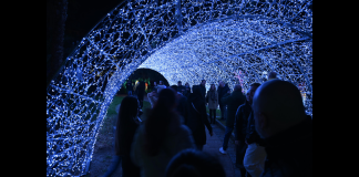 La notizia che tutti aspettavamo è arrivata: Salerno si illuminerà con le sue splendide Luci d’Artista il 29 novembre 2024… il Comune di Salerno, con un comunicato ufficiale sul sito istituzionale… https://www.comune.salerno.it, ha annunciato la data dell’inaugurazione