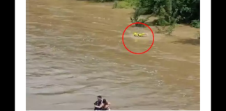 Un capoturno e due addetti alla Sala operativa dei vigili del fuoco di Udine e un infermiere della Sala operativa regionale emergenza sanitaria (Sores) del Friuli Venezia Giulia: sono i quattro indagati, per omicidio colposo, dalla Procura, per la morte di Patrizia Cormos, 20 anni, Bianca Doros, 23 anni, e Cristian Casian Molnar, 25 anni, travolti e uccisi dalla piena improvvisa del fiume Natisone, che lo scorso 31 maggio li sorprese mentre erano scesi nel greto per scattare qualche foto