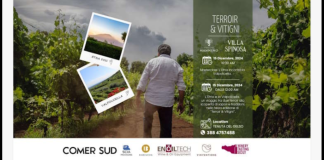 Il prossimo 15 dicembre, presso la suggestiva Tenuta del Gelso, si terrà un evento unico che celebra l’incontro tra due prestigiosi territori vinicoli italiani: l’Etna e la Valpolicella: protagonisti della giornata saranno i vini delle Tenute Mannino e di Villa Spinosa, accompagnati da masterclass, degustazioni e momenti conviviali che esaltano la tradizione e l’innovazione nel mondo del vino