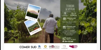 Il prossimo 15 dicembre, presso la suggestiva Tenuta del Gelso, si terrà un evento unico che celebra l’incontro tra due prestigiosi territori vinicoli italiani: l’Etna e la Valpolicella: protagonisti della giornata saranno i vini delle Tenute Mannino e di Villa Spinosa, accompagnati da masterclass, degustazioni e momenti conviviali che esaltano la tradizione e l’innovazione nel mondo del vino