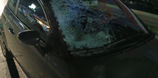 Un ulteriore incidente mortale, è accaduto a Messina nel tardo pomeriggio di oggi 22 dicembre 2024: un uomo di 72 anni è stato travolto da una Fiat 500 grigia sulla Strada Statale 114 all’altezza di Ponte Schiavo… in un luogo scarsamente illuminato