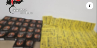 I Carabinieri della Stazione di Soriano Calabro, con il supporto dello Squadrone Eliportato Cacciatori Calabria, nell’ambito dei servizi predisposti dal Comando Provinciale di Vibo Valentia, finalizzati alla ricerca di materiale esplodente, hanno effettuato un controllo presso un’abitazione situata nel centro abitato