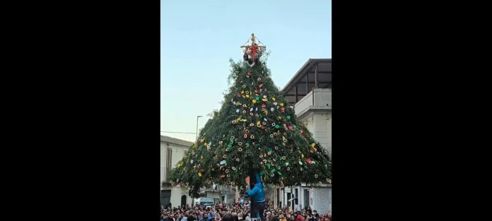 Screenshot_20250106-223026