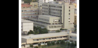 Il Gip del Tribunale di Paola Carla D’Acunzo ha disposto – accogliendo la richiesta degli avvocati Cristan Cristiano e Pasquale Filippelli legali del 34enne arrestato – l’incidente probatorio sul caso dei due bambini che sarebbero stati vittime di maltrattamenti