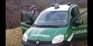 A seguito di una complessa attività di indagine partita nel 2023, coordinata dal Reparto Carabinieri del Parco Nazionale d’Aspromonte di Reggio Calabria, i militari del Nucleo Carabinieri Parco di Bagaladi, hanno dato esecuzione ad una misura cautelare reale emessa dal GIP del Tribunale di Reggio Calabria, nei confronti di un uomo, legale rappresentante di un’associazione di volontariato ritenuta responsabile dell’indebita percezione di contributi ricevuti dall’Ente Parco d’Aspromonte e dall’Azienda Regionale “Calabria Verde” per le campagne antincendi boschivi degli anni 2020, 2021 e 2022