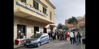 “Grazie di cuore: Le Giornate FAI di Primavera 2025 al Parco Letterario Salvatore Quasimodo si sono concluse con grande successo…, siamo felici di aver accolto 234 visitatori che hanno condiviso con noi l’amore per la cultura e la poesia”