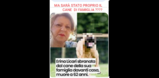 62 anni, Erina, sbranata (si ipotizza) dal suo cane a Petrosino piccolo comune di Marsala venerdì sera: grandi ferite alla testa