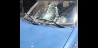 Travolta da un’auto mentre passeggiava sul marciapiede assieme ai nipotini di due e tre anni: è morta così, a Palermo, Vincenza Lombardo, di 65 anni… l’incidente si è verificato in via Portella della Ginestra, nel quartiere Sperone