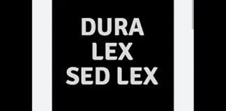 Dura Lex, sed Lex: ‘in Italia, da diversi anni, ben prima della data spartiacque di giugno 2019 (nella quale è deflagrato il delinquenziale ed illegale “Sistema Bibbiano”, ovvero quegli Atti e comportamenti attuati contro le Leggi per togliere non legalmente i figli ai genitori) si è assistito all’azione di assistenti sociali e magistrati corrotti, delinquenti e Incompatibili che separavano in violazione delle Norme esistenti i minori dalle famiglie, ciò anche per fare lucro su di Essi dato che un minore in Casa famiglia costa dai 100,00 ai 400,00 € al giorno’