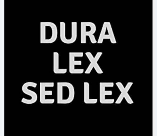 Dura Lex, sed Lex: ‘in Italia, da diversi anni, ben prima della data spartiacque di giugno 2019 (nella quale è deflagrato il delinquenziale ed illegale “Sistema Bibbiano”, ovvero quegli Atti e comportamenti attuati contro le Leggi per togliere non legalmente i figli ai genitori) si è assistito all’azione di assistenti sociali e magistrati corrotti, delinquenti e Incompatibili che separavano in violazione delle Norme esistenti i minori dalle famiglie, ciò anche per fare lucro su di Essi dato che un minore in Casa famiglia costa dai 100,00 ai 400,00 € al giorno’