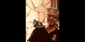 Ieri sera durante un incidente stradale avvenuto a Taormina…, un uomo di Giardini Naxos ha perso la vita: la vittima, è il 47enne Daniele Catanzaro che in sella ad uno scooter Piaggio Beverly stava transitando lungo la Strada provinciale 10, la via Luigi Pirandello che conduce in città dal lato sud