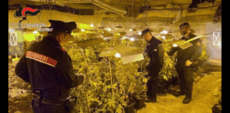 I carabinieri della compagnia di Partinico con i colleghi della compagnia di intervento operativo del 12° reggimento Sicilia, hanno effettuato varie Operazioni per il contrasto allo smercio di materiale narcotico e tendenti al controllo del territorio