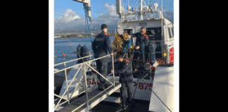 Momenti di grande apprensione nel tardo pomeriggio di ieri a Capo Milazzo: un turista tedesco di 59 anni è infatti precipitato con il deltaplano nelle acque dell’Area Marina Protetta… per puro miracolo è rimasto illeso