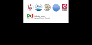 I gruppi consiliari di minoranza Uniti per Cambiare di San Giuseppe Jato, Reset di Montelepre, Primavera Arbëreshe di Piana degli Albanesi, Tutti per Camporeale di Camporeale, Cinisi Autentica di Cinisi, i Circoli PD di Partinico, Montelepre, Terrasini e Piana degli Albanesi, esprimono il loro profondo cordoglio per le vittime di Monreale, tre giovani vite della città normanna, spezzate e diversi feriti