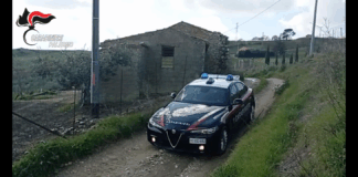 Nel cuore della notte, tra fango e buio, la campagna si è trasformata in un incubo per una famiglia di turisti inglesi in vacanza ma grazie al tempestivo intervento dei Carabinieri, la paura ha lasciato il posto al sollievo