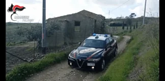 Nel cuore della notte, tra fango e buio, la campagna si è trasformata in un incubo per una famiglia di turisti inglesi in vacanza ma grazie al tempestivo intervento dei Carabinieri, la paura ha lasciato il posto al sollievo