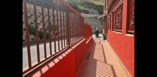 Aveva appena tre mesi la piccola Elisa C., morta tragicamente dopo essere precipitata insieme alla madre dal primo piano di una palazzina nel complesso “6 Stelle” di Santa Lucia sopra Contesse a Messina: un dramma che ha scosso profondamente l’intera comunità messinese, ancora incredula di fronte a quanto accaduto nella tarda mattinata di ieri, poco prima delle 13:00