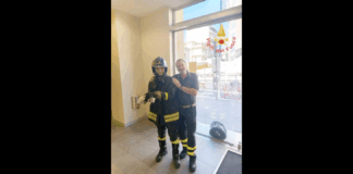 Nella mattinata odierna, i membri della squadra dei Vigili del Fuoco del Comando di Catanzaro – Distaccamento di Lamezia Terme, impegnati in servizio straordinario di vigilanza antincendio in occasione della fiera per i festeggiamenti dei Santi Pietro e Paolo, patroni della città, sono intervenuti per un insolito ma toccante salvataggio