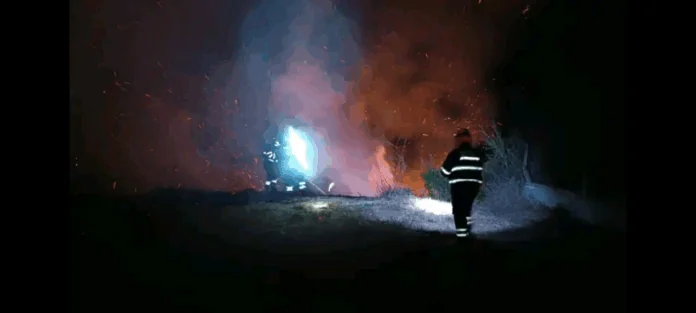 Screenshot_20250708-070643