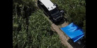 I Carabinieri del Nucleo Investigativo di Messina hanno eseguito un’ordinanza di custodia cautelare in carcere, emessa dal GIP del Tribunale di Barcellona Pozzo di Gotto, su conforme richiesta dei magistrati della locale Procura della Repubblica, nei confronti di Sebastiano PIRRI (63enne, già noto alle Forze dell’Ordine), in ordine ai reati di omicidio volontario aggravato del figlio 41enne, Angelo PIRRI, rinvenuto cadavere il 6 giugno scorso nelle campagne di Pace del Mela (ME) nonché per porto e detenzione abusiva di arma da fuoco