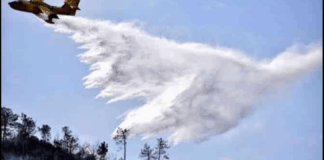 I vigili del fuoco ed i membri della Forestale…, sono impegnati nel fronteggiare un incendio scoppiato nelle ore scorse nelle campagne di Scaletta Zanclea: il rogo, alimentato dal forte vento, si sta propagando verso la zona di Guidomandri distruggendo vari ettari di terreno