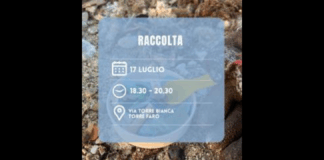 Giovedì 17 luglio, a partire dalle 18:30, i volontari di MessinAttiva si riuniranno presso la spiaggia di via Torre Bianca a Torre Faro per un’iniziativa di raccolta rifiuti