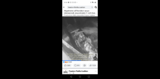 I militari israeliani nella serata di ieri, hanno abbordato la nave Handala, appartenente alla Freedom Flotilla, un’iniziativa internazionale filo-palestinese diretta verso Gaza. L’azione si è svolta in acque internazionali, secondo quanto riferito in una diretta streaming interrotta pochi minuti dopo l’intervento