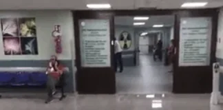 Primo caso di West Nile a Messina… una 74enne di Ritiro si è presentata al Pronto soccorso dell’ospedale Papardo con forte mal di testa e febbre alta. Sintomi che accusava da sei giorni: i successivi esami di laboratorio hanno accertato un’encefalite in atto, complicazione possibile e la positività al West Nile
