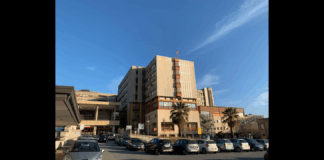 Sta meglio la 74enne di Messina ricoverata nel reparto di Malattie infettive del Papardo per aver contratto un’infezione da West Nile: il dottor Antonio Albanese, in qualità di responsabile dell’unità, ha infatti diffuso un bollettino in cui si dichiara che le condizioni generali della paziente sono in fase di miglioramento, tuttavia si riservano ancora per 48 ore per sciogliere la prognosi