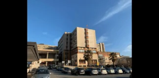 Sta meglio la 74enne di Messina ricoverata nel reparto di Malattie infettive del Papardo per aver contratto un’infezione da West Nile: il dottor Antonio Albanese, in qualità di responsabile dell’unità, ha infatti diffuso un bollettino in cui si dichiara che le condizioni generali della paziente sono in fase di miglioramento, tuttavia si riservano ancora per 48 ore per sciogliere la prognosi