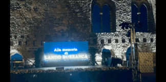 Grande successo per la 6a edizione del Premio internazionale Messina Cinema che si conferma anche quest’anno uno fra gli appuntamenti più rilevanti del panorama culturale nazionale, un’importante vetrina per il talento cinematografico, mentre l’omaggio a Lando Buzzanca, volto iconico del Cinema italiano interprete intenso e riconoscibile, è stato un riconoscimento non solo alla sua carriera, ma anche al valore del Cinema come forma d’arte che sa unire e coinvolgere generazioni di spettatori