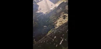 Nel corso della notte scorsa, vi è stata una tragica fine per un imprenditore 53enne di Castelmola in Provincia di Messina: l’uomo, Giuseppe Carpita, è morto in un incidente stradale autonomo verificatosi intorno a mezzanotte sulla Strada provinciale 10 che conduce al piccolo borgo jonico